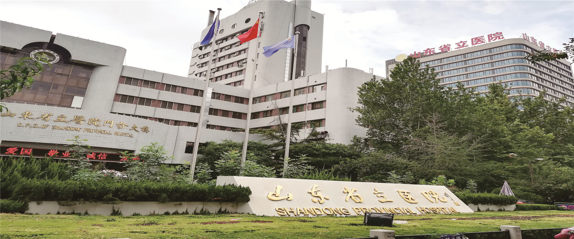 山東省立醫(yī)院